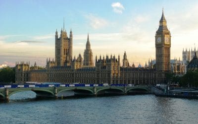 Parliamentary Reception – We need your help!