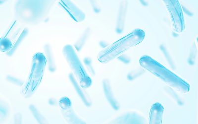 The Science of Vitamin B12